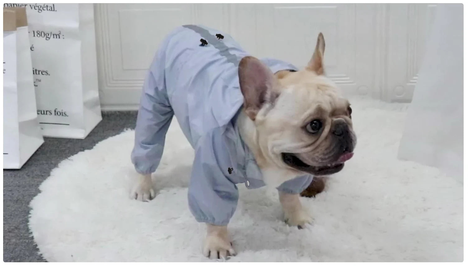 PSM All - Season Reflective Pet Raincoat - Waterproof Jumpsuit for Dogs & Cats