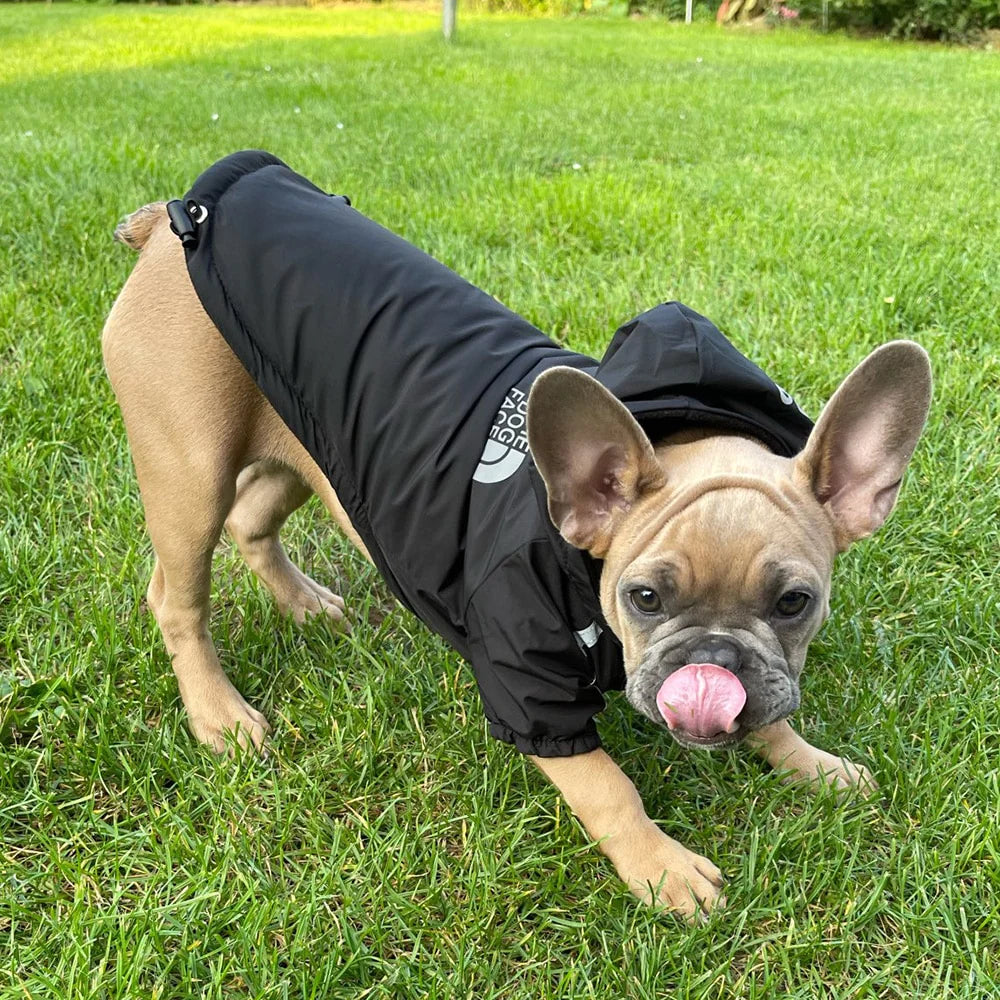 Autumn Winter Pet Dog Waterproof Warm Coat Cotton Hooded Jacket the Dog Face Small Dogs Cat Reflective Pet Clothes Winter Coat