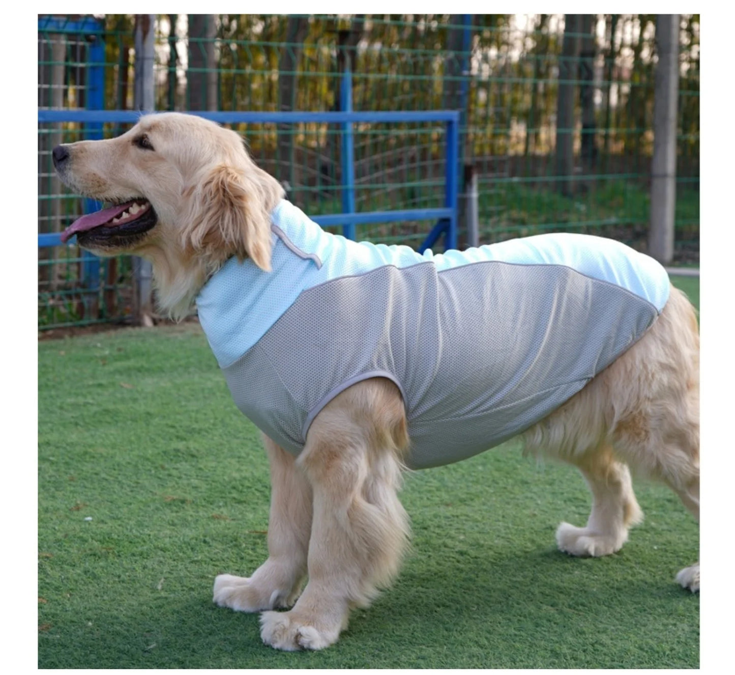 Summer Cooling Dog Vest with Ice Pack Pockets - Breathable Mesh Pet Clothes
