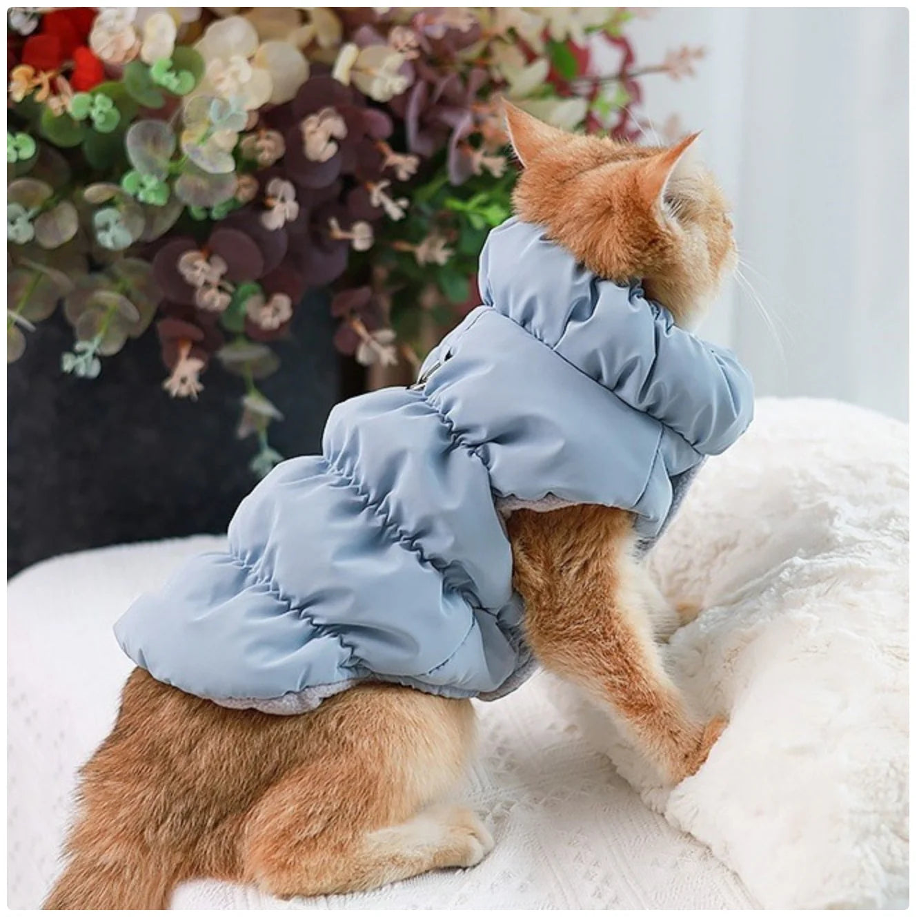 Winter Warm Padded Pet Vest - Snap - Button Dog & Cat Jacket with Harness D - Ring