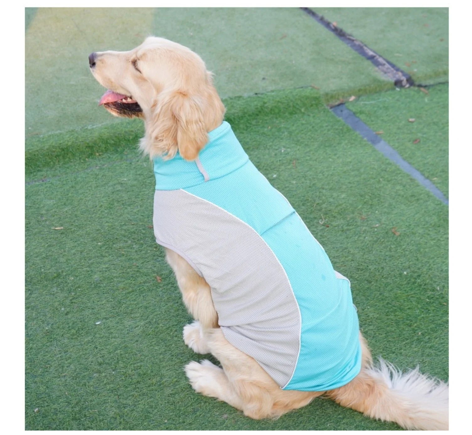 Summer Cooling Dog Vest with Ice Pack Pockets - Breathable Mesh Pet Clothes