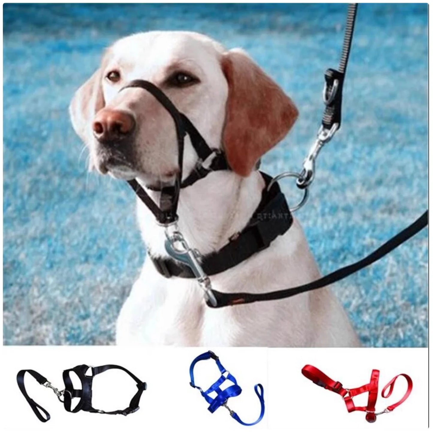 No-Pull Dog Head Halter - Comfortable and Effective Training Aid for Pet Dogs