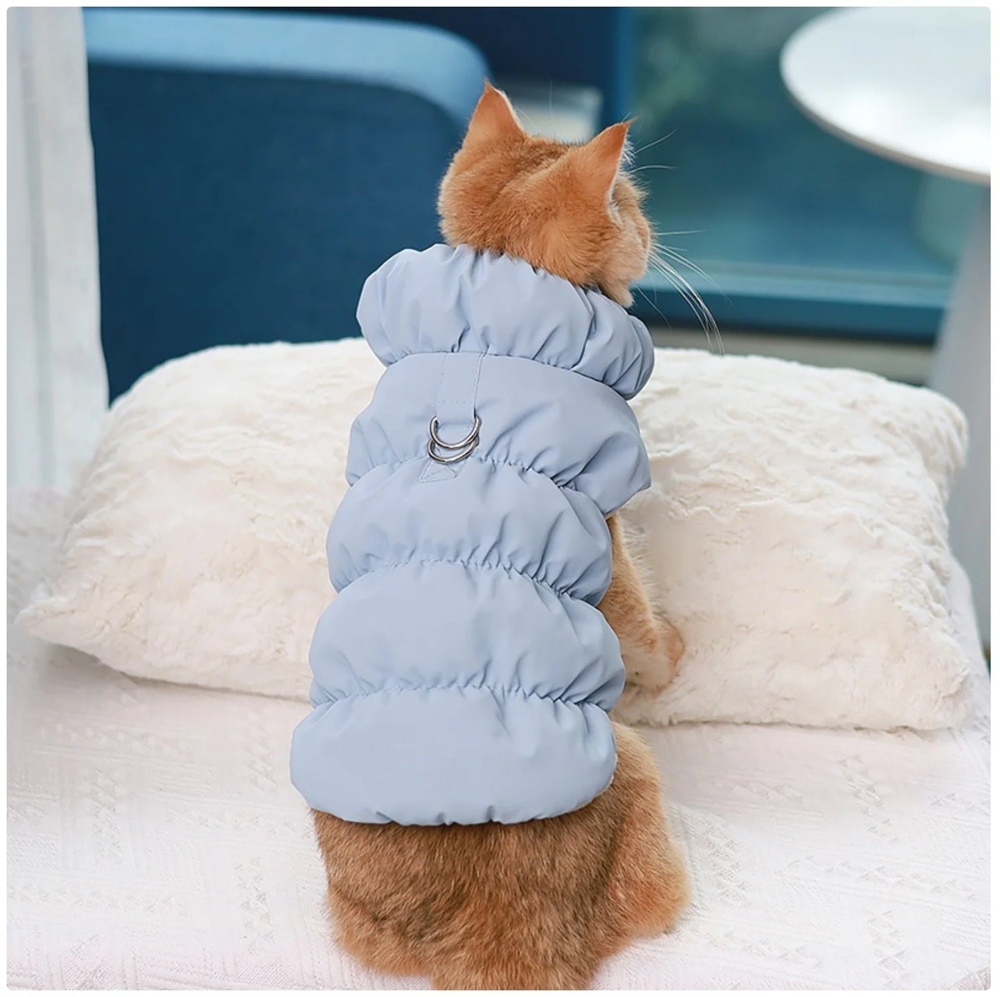 Winter Warm Padded Pet Vest - Snap - Button Dog & Cat Jacket with Harness D - Ring