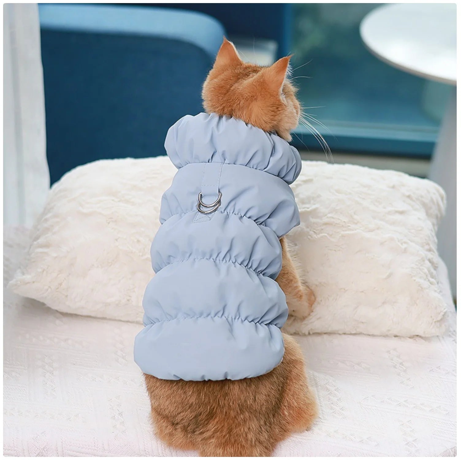 Winter Warm Padded Pet Vest - Snap - Button Dog & Cat Jacket with Harness D - Ring