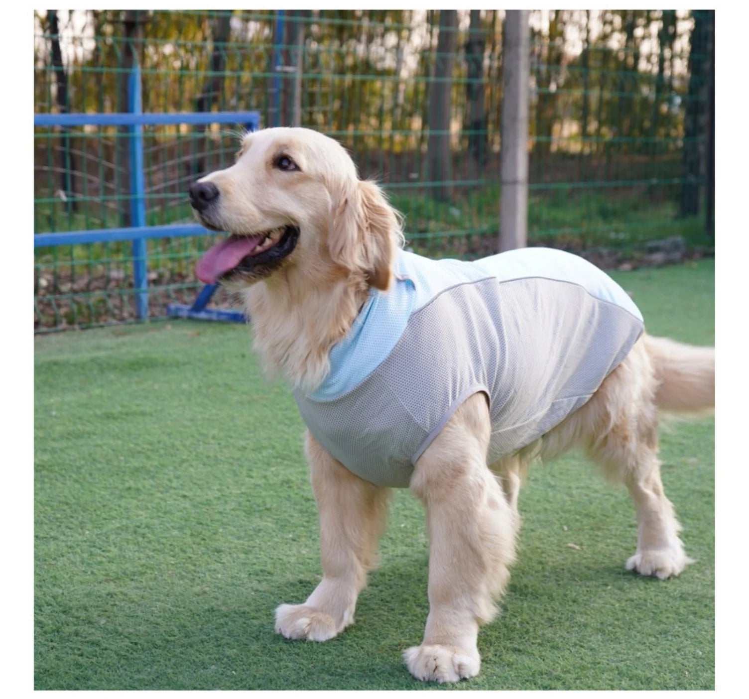 Summer Cooling Dog Vest with Ice Pack Pockets - Breathable Mesh Pet Clothes