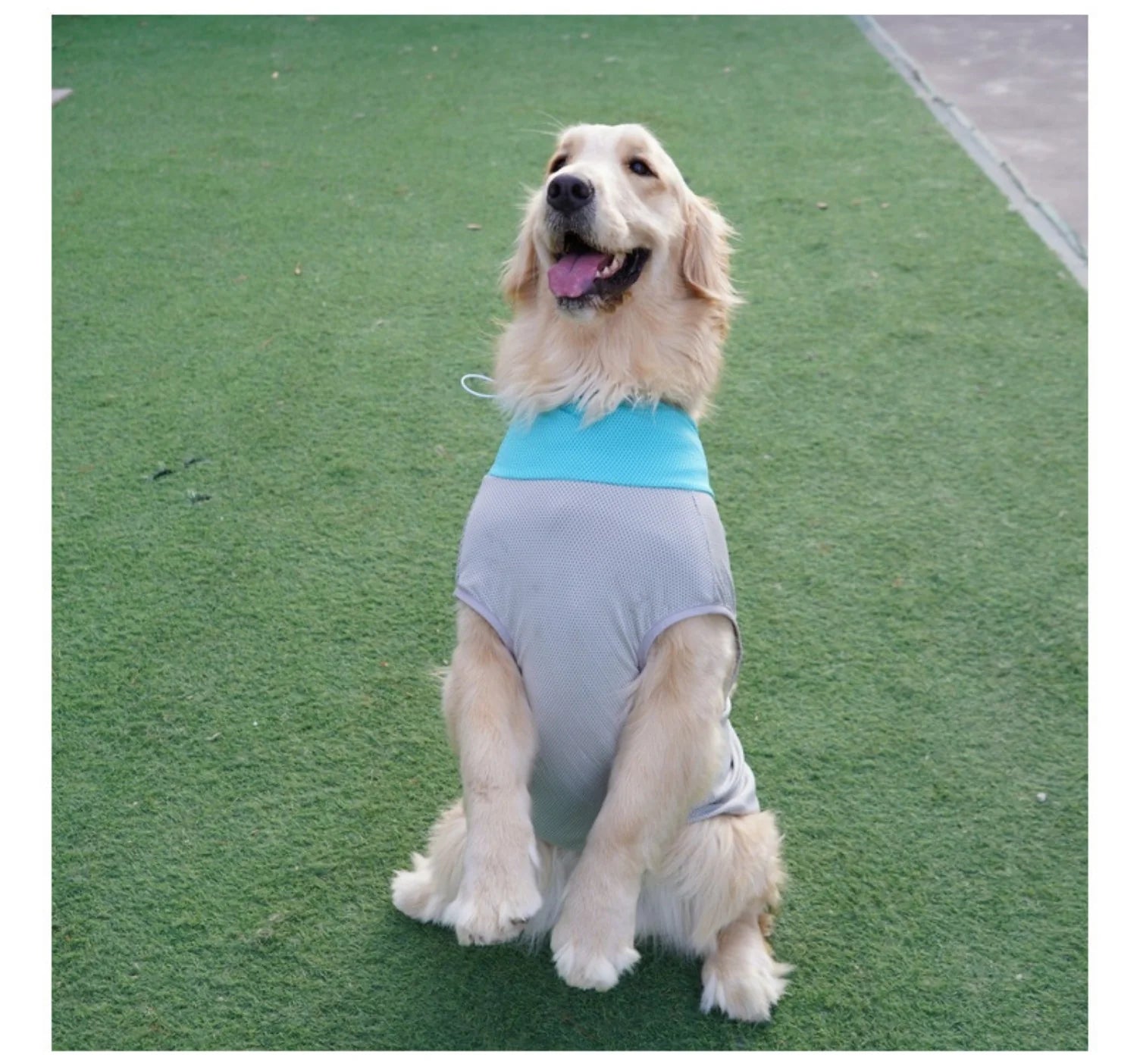 Summer Cooling Dog Vest with Ice Pack Pockets - Breathable Mesh Pet Clothes