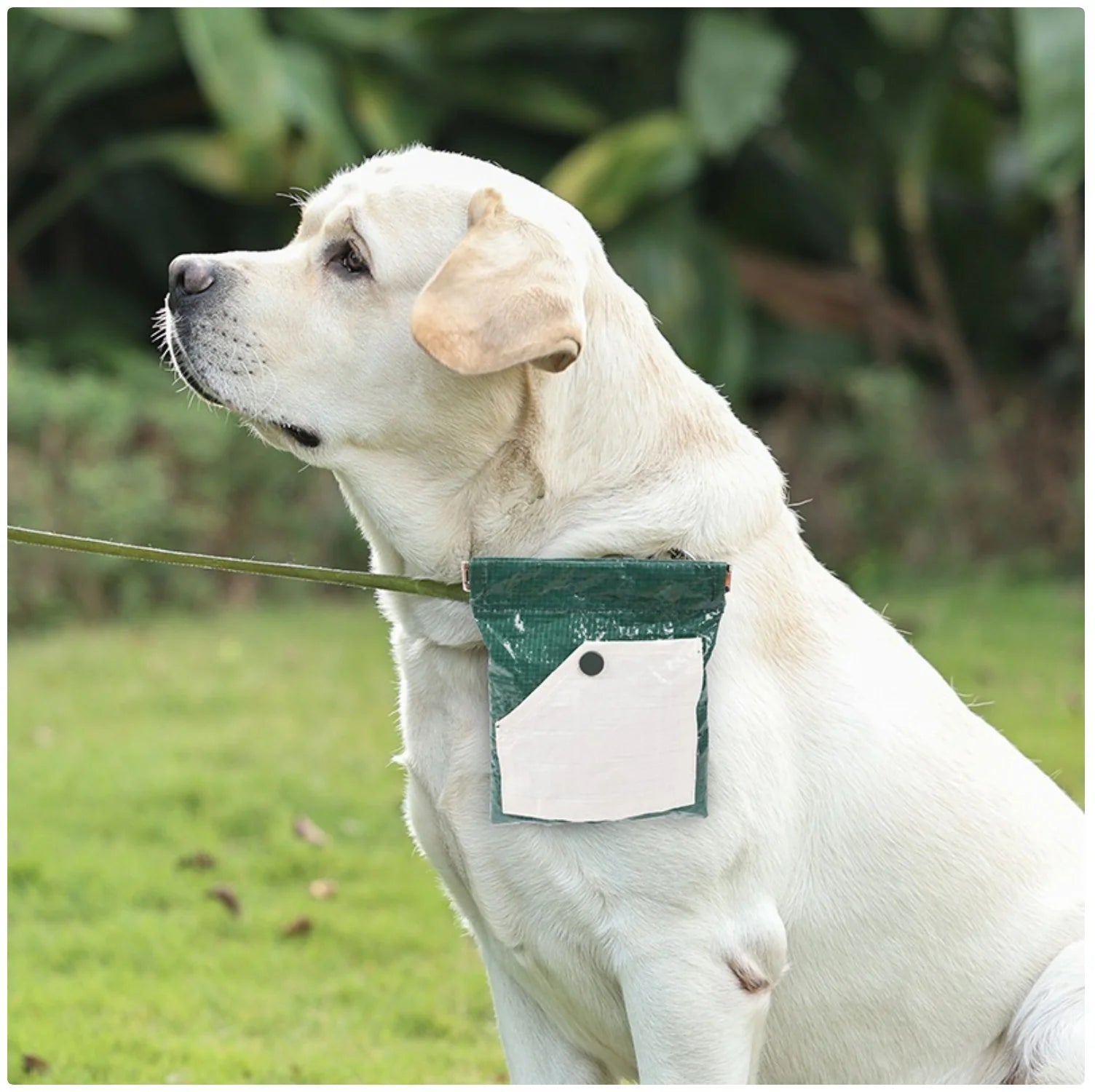 Portable Pet Treat Pouch - Convenient Dog/Cat Snack Storage Bag with Carabiner