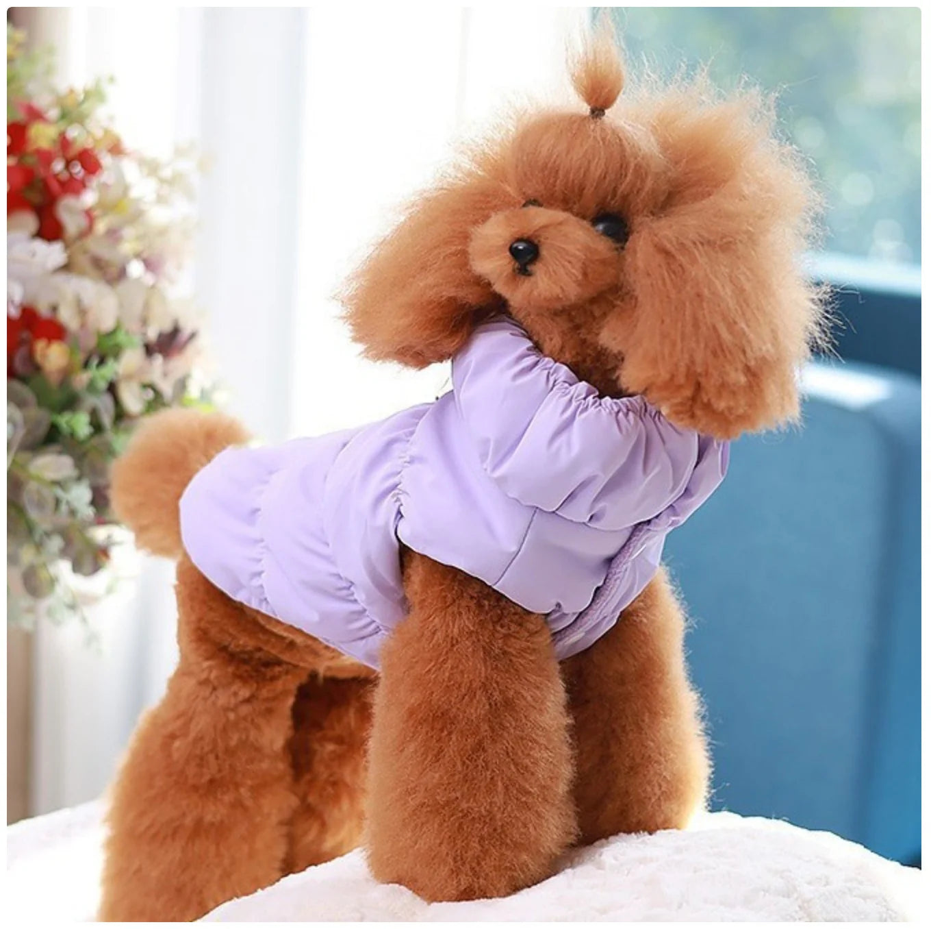 Winter Warm Padded Pet Vest - Snap - Button Dog & Cat Jacket with Harness D - Ring