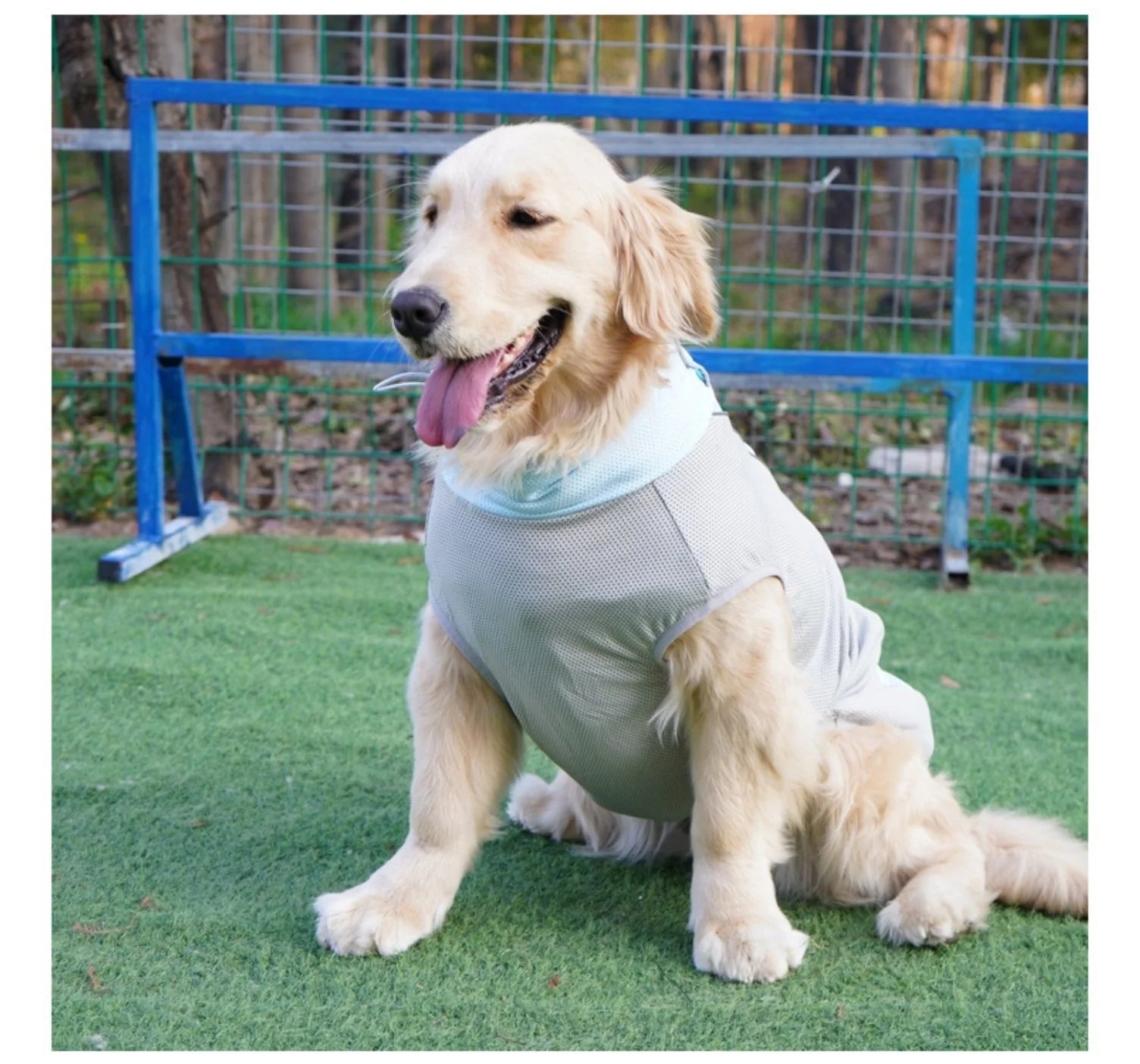 Summer Cooling Dog Vest with Ice Pack Pockets - Breathable Mesh Pet Clothes