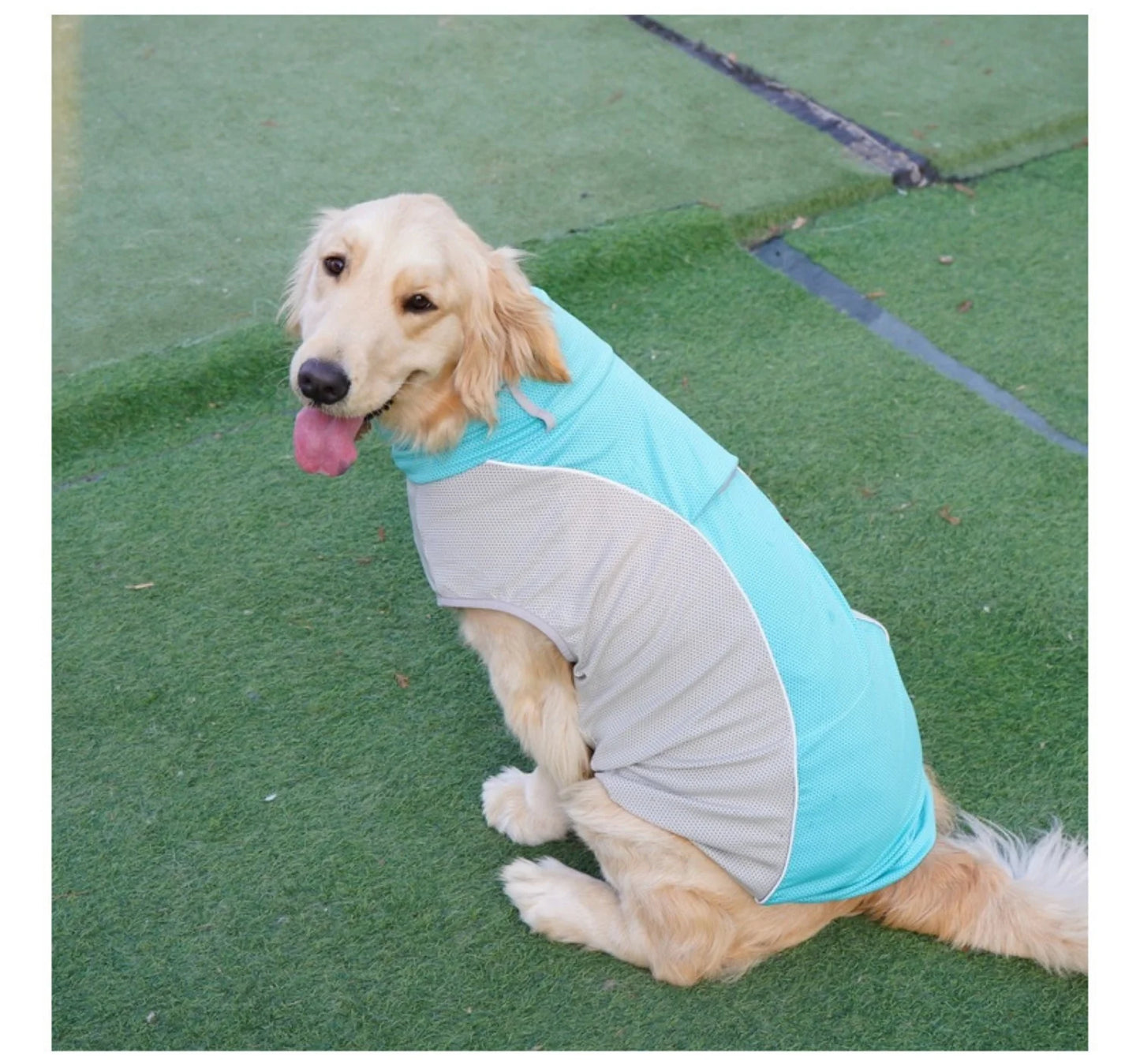 Summer Cooling Dog Vest with Ice Pack Pockets - Breathable Mesh Pet Clothes