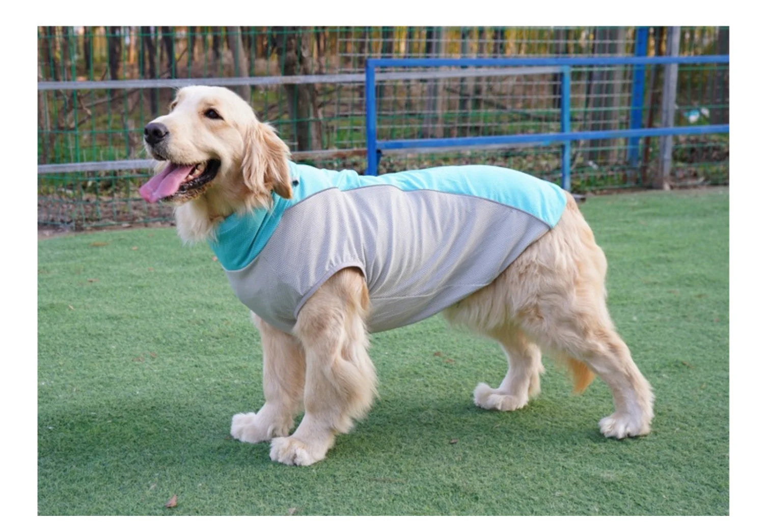Summer Cooling Dog Vest with Ice Pack Pockets - Breathable Mesh Pet Clothes