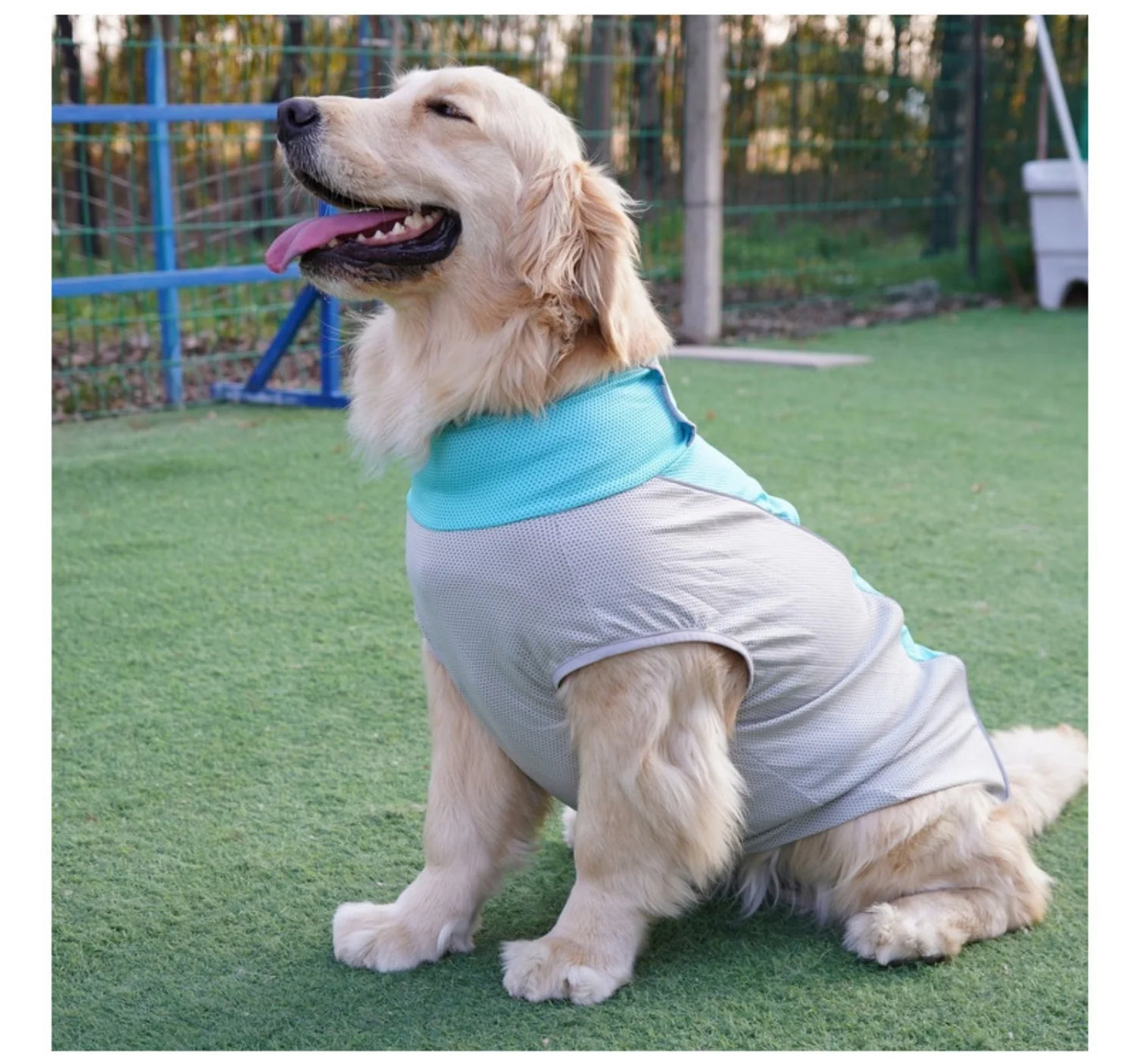 Summer Cooling Dog Vest with Ice Pack Pockets - Breathable Mesh Pet Clothes